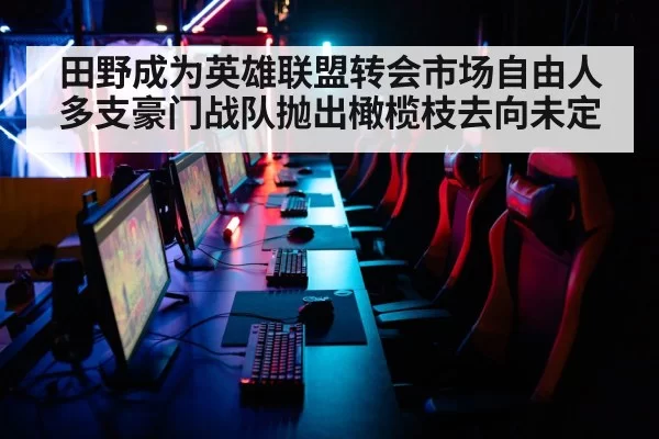 田野成为英雄联盟转会市场自由人多支豪门战队抛出橄榄枝去向未定